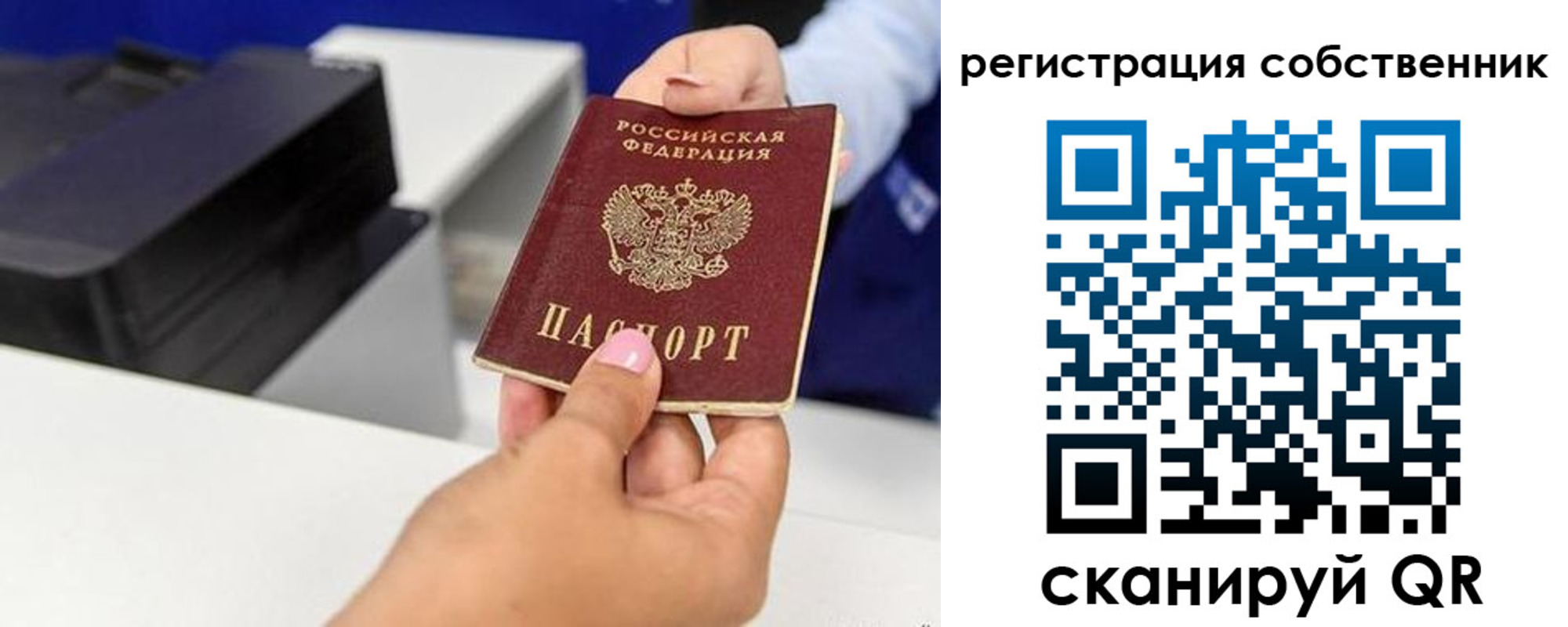 прописка для школы в Фокино